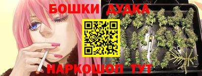 гидропоника Тверь