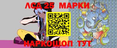 гидропоника Тверь